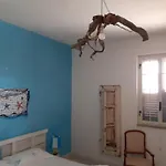 Il Lupo